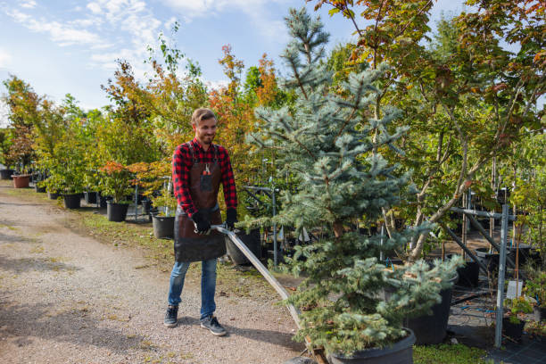 Mulching Services in Ottumwa, IA